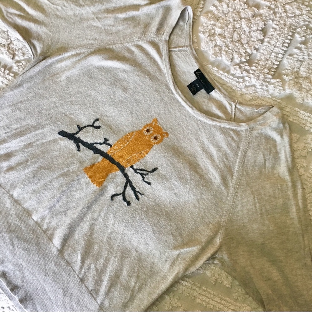 ❗️SOLD Lane Bryant 🦉 Heather Gray Owl Pullover